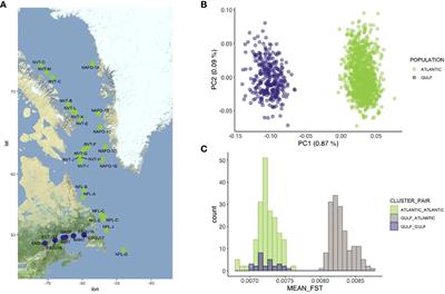 A cold-water fish striving in a warming ocean: Insights from whole-genome sequencing of the Greenland halibut in the Northwest Atlantic